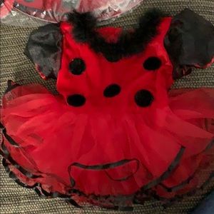 Lady Bug Costume